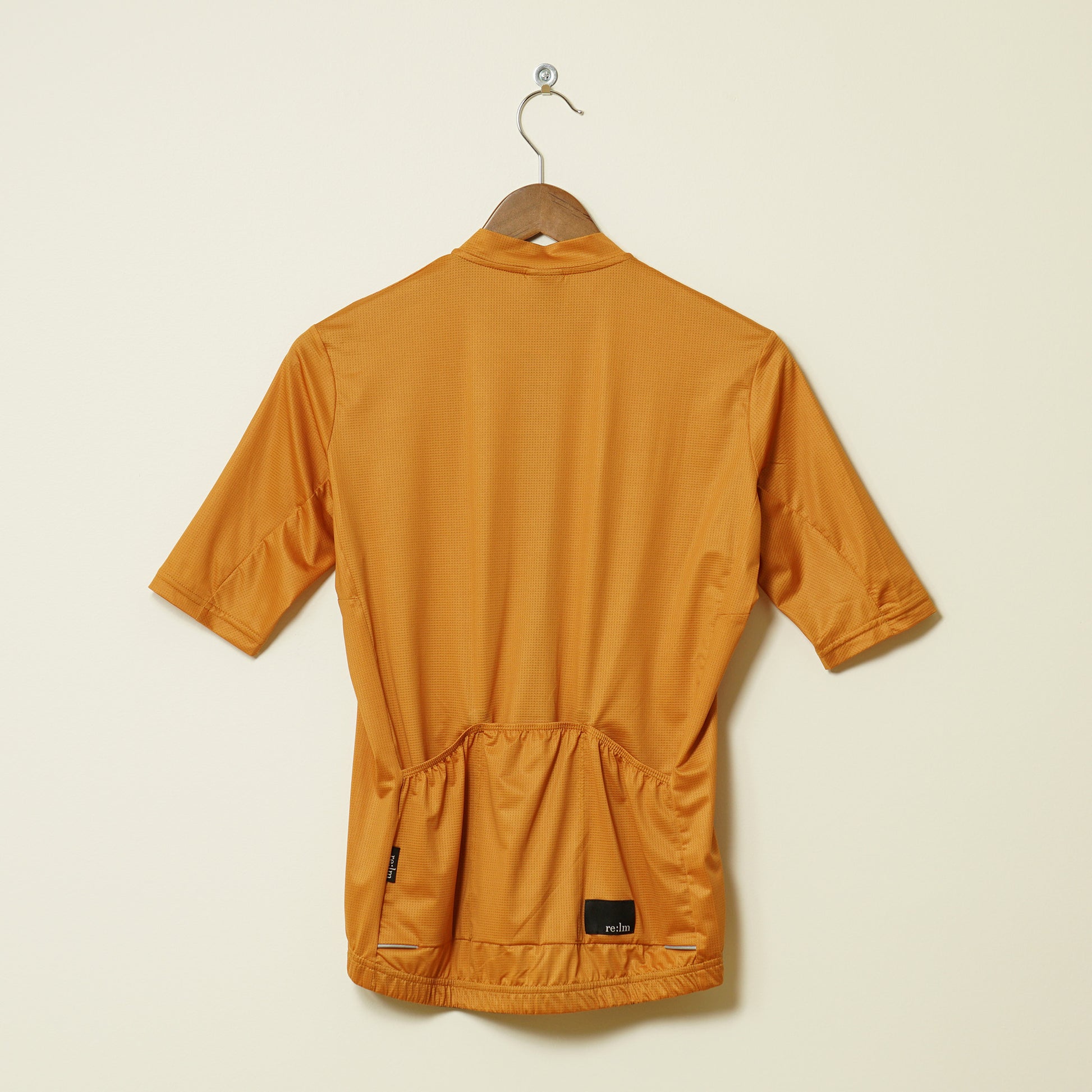 Back of men's Relm Cycling R-Series Jersey Sunset